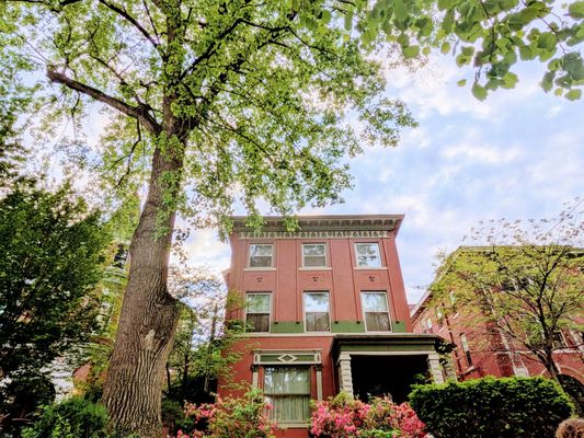 Louisville Historic Tours by null