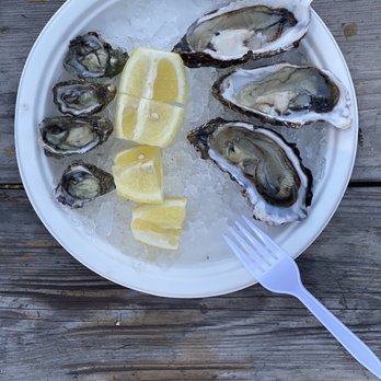 Bodega Bay Oyster - Small Kumamoto L, Miyagi R - Seafood Markets Near Me - Petaluma, California Bodega Bay Oyster - Small Kumamoto L, Miyagi R - Seafood Markets Near Me - Petaluma, California