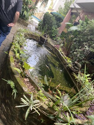 Lamothe House Hotel by null