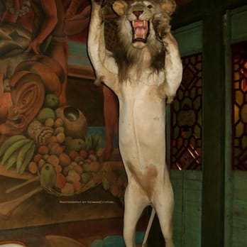 The Greenwood Collective - Rawr! - Venues & Event Spaces Near Me - Seattle, Washington