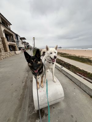 Manhattan Beach Pier by null