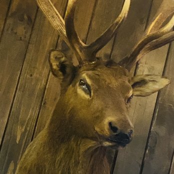 Morris’ Tavern and Restaurant - Oh my gosh! I can't believe you ordered food here! - Pubs Near Me - Sidman, Pennsylvania Morris’ Tavern and Restaurant - Oh my gosh! I can't believe you ordered food here! - Pubs Near Me - Sidman, Pennsylvania