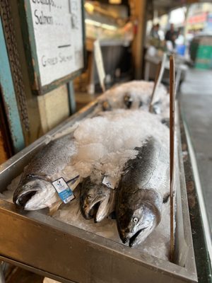 Atrium Kitchen by null