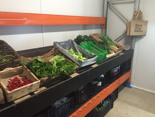 The Farm Byron Bay by null