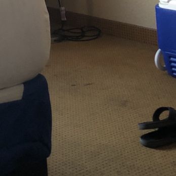 Harrah's Laughlin - A Caesars Rewards Destination - Poop embedded in the carpet !!! - Hotels Near Me - Laughlin, Nevada Harrah's Laughlin - A Caesars Rewards Destination - Poop embedded in the carpet !!! - Hotels Near Me - Laughlin, Nevada