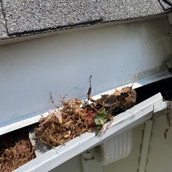 B.A. Harris Seamless Gutter - a gutter filled with leaves - Gutter Services Near Me - Walpole, Massachusetts B.A. Harris Seamless Gutter - a gutter filled with leaves - Gutter Services Near Me - Walpole, Massachusetts