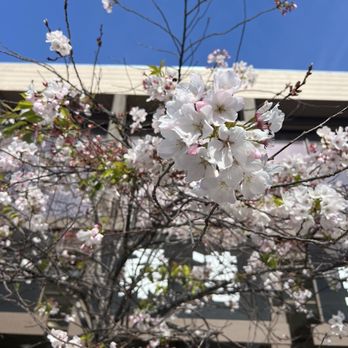 Japantown - Landmarks & Historical Buildings Near Me - San Francisco, California