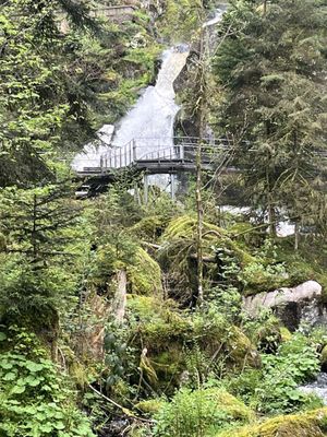 Triberg Waterfalls by null