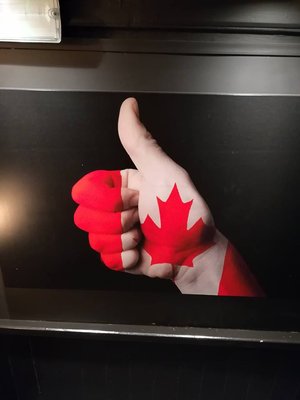 Maple Leaf by null