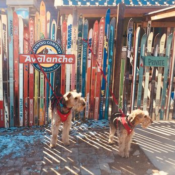 Avalanche Brewing - Pups welcome. Outdoors of course. - Pizza Near Me - Silverton, Colorado Avalanche Brewing - Pups welcome. Outdoors of course. - Pizza Near Me - Silverton, Colorado