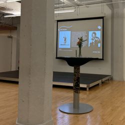 Chicago Center for Arts and Technology