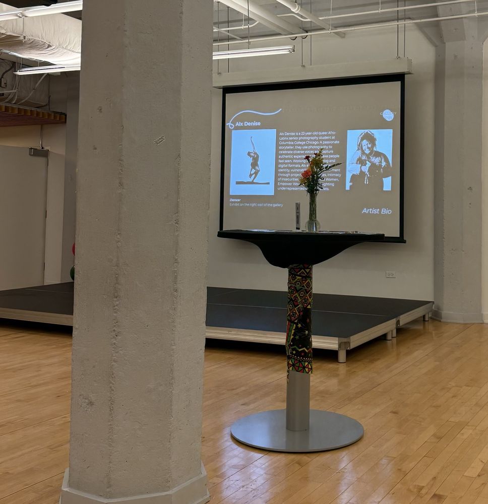 Chicago Center for Arts and Technology - social services organization in Chicago, IL