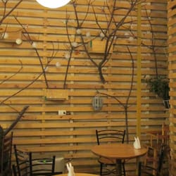 Café Bosque - Café Bosque