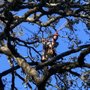 Photo of We Care Tree Care