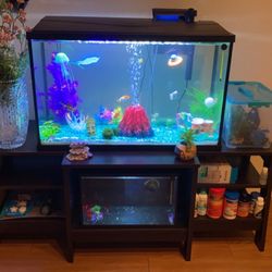 Carol's Critters - GoldFish From Carols