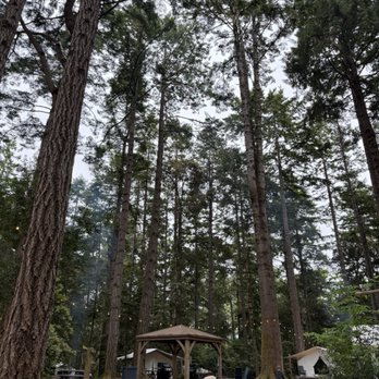 Mendocino Grove - Campgrounds Near Me - Mendocino, California