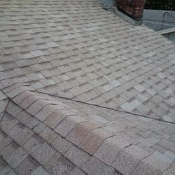 Slide of Dr Roof of Tampa Bay