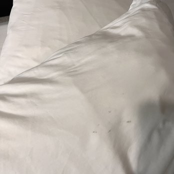 Hotel Ylem - Stained pillow cases - Hotels Near Me - Houston, Texas