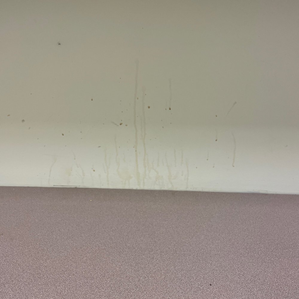 Wall where something was spilled at minimum 5 weeks ago. Wall where something was spilled at minimum 5 weeks ago.