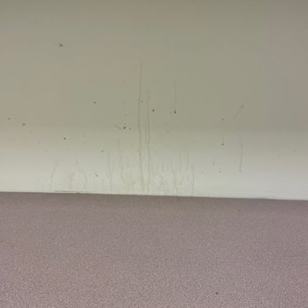 Lincoln Park Library - Wall where something was spilled at minimum 5 weeks ago. - Libraries Near Me - Chicago, Illinois Lincoln Park Library - Wall where something was spilled at minimum 5 weeks ago. - Libraries Near Me - Chicago, Illinois