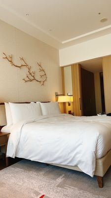 JW Marriott Hotel Nara by null