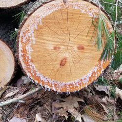 David Rancourt River Preserve - A surprised face