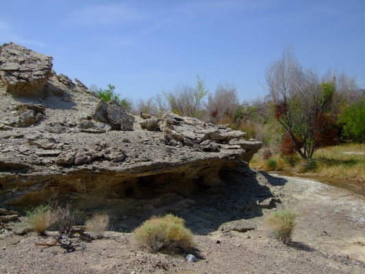 Shoshone Trailer RV Park by null