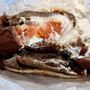 Photo of Mo Gyros