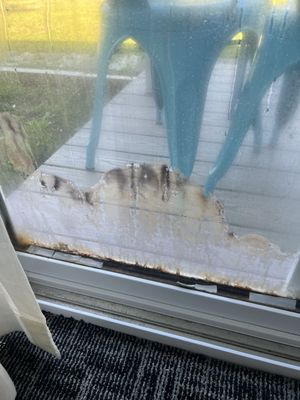 Cape Sands Inn by null