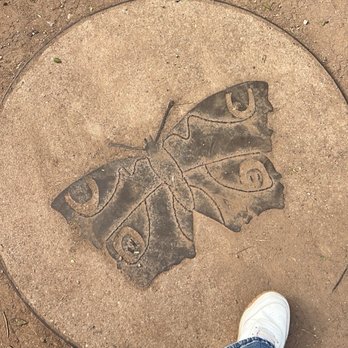 Boyce Thompson Arboretum - Botanical Gardens Near Me - Superior, Arizona