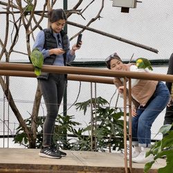 Aviario del Parque Lincoln