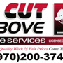 Photo of A Cut Above Tree Services