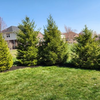 Apex Outdoor Contractors - Pressure Washers Near Me Apex Outdoor Contractors - Pressure Washers Near Me
