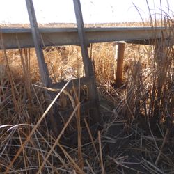 Troy Meadows Natural Area - Ladder to Catwalk