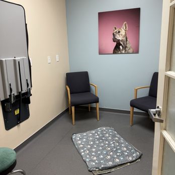 Veterinary Neurology Center - room - Veterinarians Near Me - Tustin, California Veterinary Neurology Center - room - Veterinarians Near Me - Tustin, California