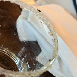 Multiple Fruit flies on drinks and food
