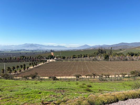 Kingston Family Vineyards by null