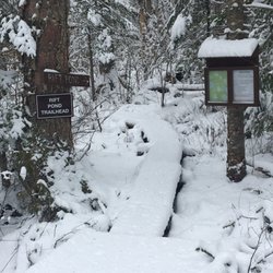 Great Pond Outdoor Adventure Center - Trail head