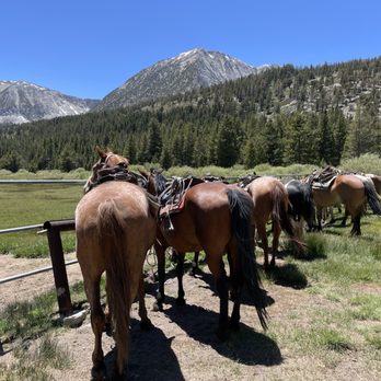 Rock Creek Pack Station - Rock Creek Pack Station horsepower - Tours Near Me Rock Creek Pack Station - Rock Creek Pack Station horsepower - Tours Near Me