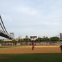 Photo of Murry Bergtraum Softball Field
