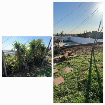 Juan Tree Services - Tree Services Near Me Juan Tree Services - Tree Services Near Me