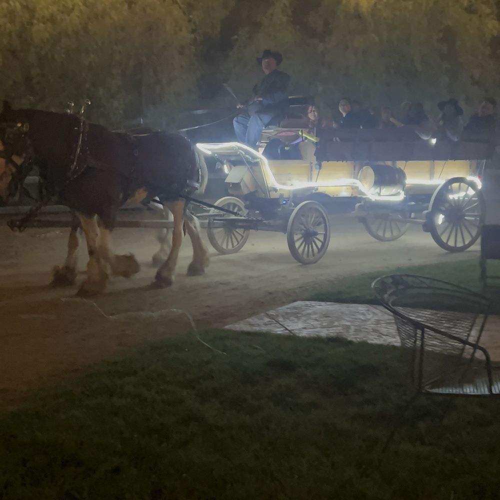 Temecula Carriage Company - Horse and carriage - Wine Tours Near Me - Temecula, California Temecula Carriage Company - Horse and carriage - Wine Tours Near Me - Temecula, California
