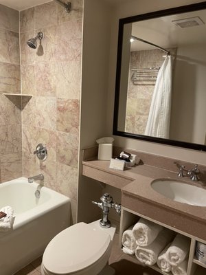 Dauphine Orleans Hotel by null