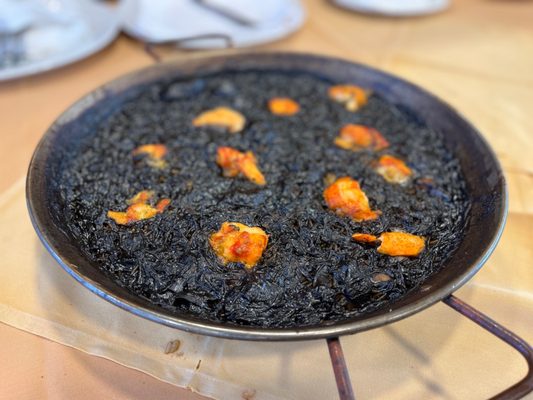 La taverna del Port Balís by null