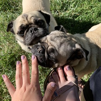 VIP Nails and Spa - nom nom nom - pug - Nail Salons Near Me - Arvada, Colorado
