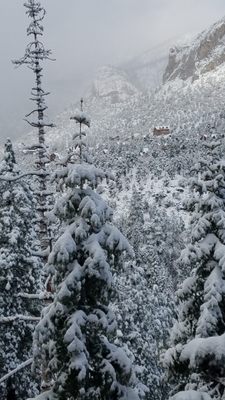 Mount Charleston Cabins by null