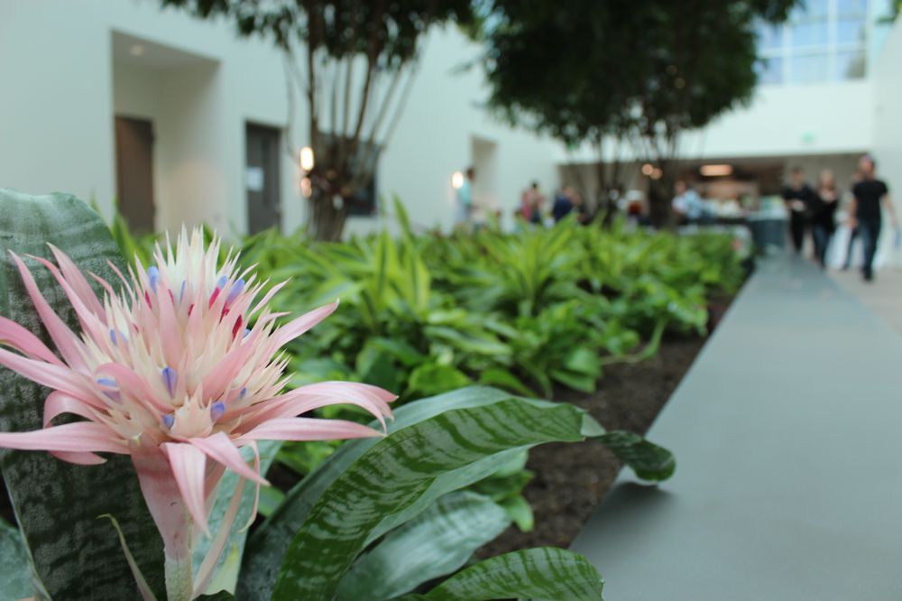 CARE PLANT INC. Updated October 2024 1626 Broadway Blvd, Kansas