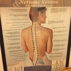 Egan Family Chiropractic - Some Chiro info.