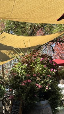 Golden Valley Brewery & Restaurant by null