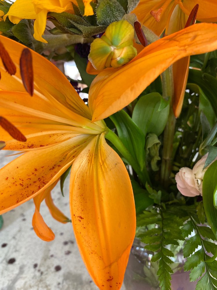 T D FLORIST DESIGN & GIFT Updated August 2024 86 Photos & 113 Reviews 9433 S University